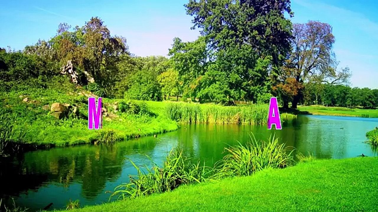 तुम्हारा मस्त सामान है पकड़ते ही खड़ा हो गया !! Live Hindi Comedy video Full Funny