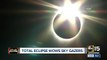 Solar eclipse had millions fixated on looking up at the sky today