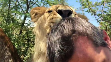 An Unbreakable Bond | The Lion Whisperer