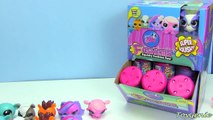 Littlest Pet Shop Penny Ling Play Doh Surprise Egg and Fashems