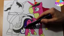 Et armure Livre coloration Oeuf épisode petit mon poney brillant jouet Mlp cadance surprise collec