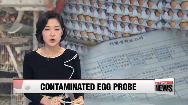 Government's additional probe into egg farms underway Sunday
