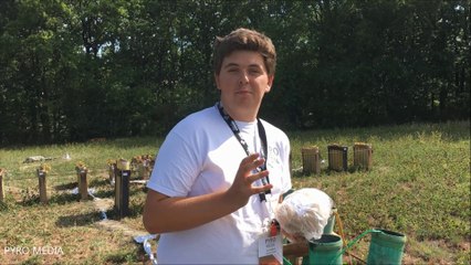 Feu d'artifice - Saint Vincent sur Graon - 11 Août 2017