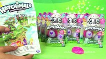 Hatchimals Fun Surprise Eggs Toys for Kids - Hatching Surprise Blind Bags and Special Edition Eggs-usjV8UabrnQ