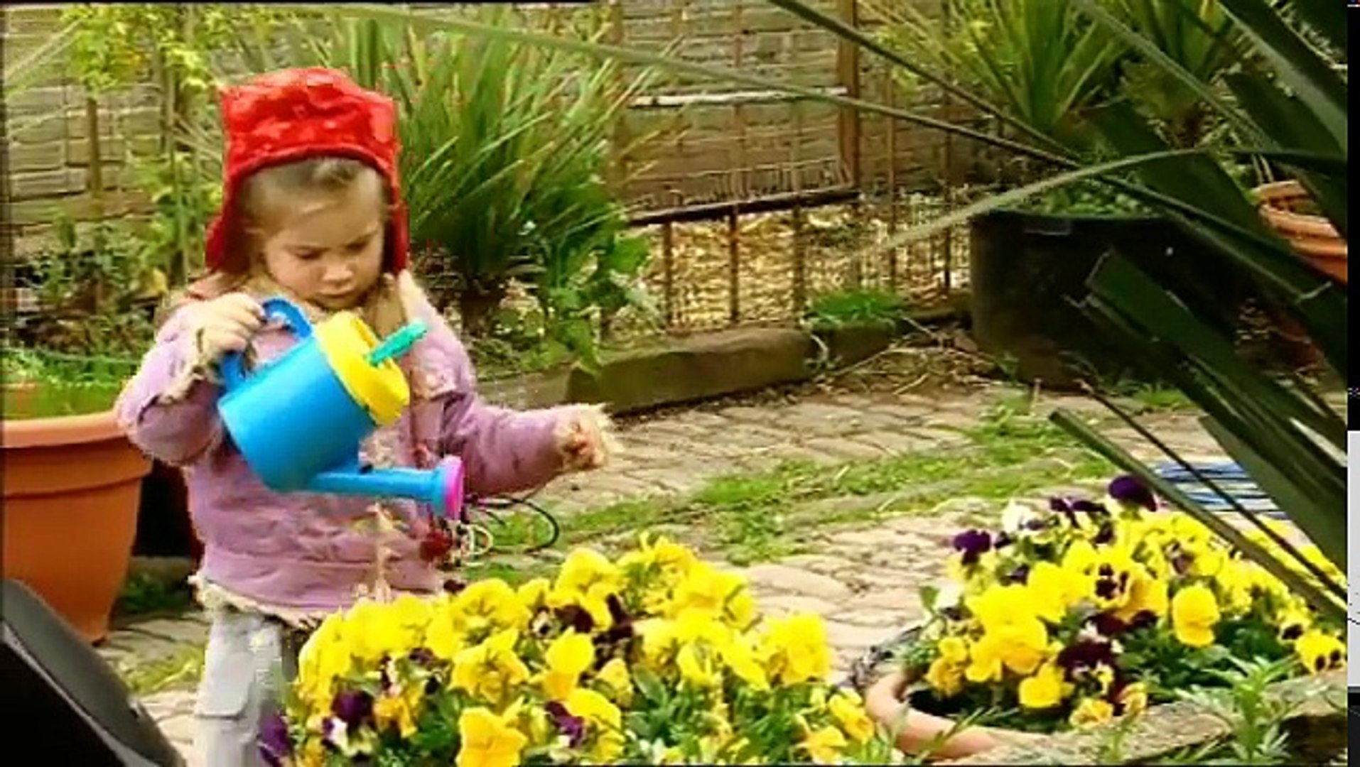 Boogie Beebies Gardening Video Dailymotion