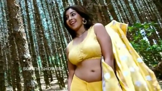 Richa Gangopadhyay Hot Juicy Navel Show In Saree Video