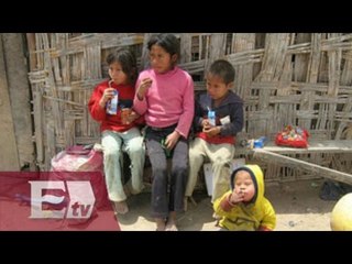 Desigualdad y pobreza un reto para la democracia en México / Opiniones encontradas