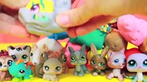 Des œufs mystère animal de compagnie pâte à modeler Boutique jouets Sortie Lps Littlest Collection Playdough Alltoycollec