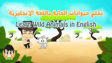 Animaux Anglais pour dans enfants sauvage Les animaux pour les animaux de la jungle enfants en anglais pour