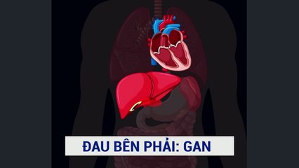 Tại sao bạn lại bị đau một bên bụng khi chạy bộ?