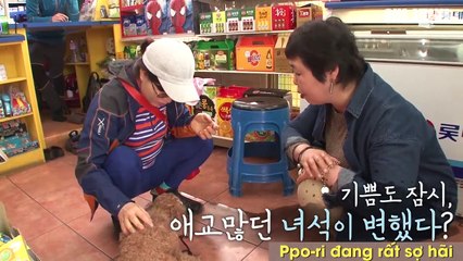Bị kẻ gian bắt cóc, nàng chó rớt nước mắt khi nhìn thấy chủ cũ