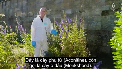 Khu vườn động đâu chết đấy