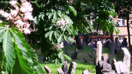 Những địa điểm rùng rợn có cho tiền cũng chẳng ai dám lui tới