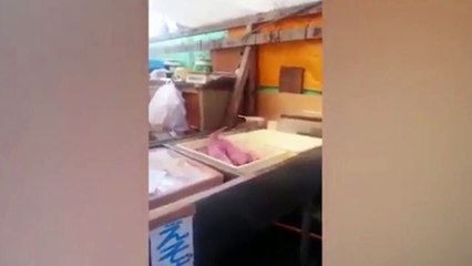 Những hình ảnh kỳ lạ đầy ngạc nhiên bạn đang xem được quay ở một nhà hàng Nhật Bản