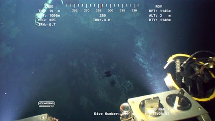 Những quái vật bí ẩn tưởng chừng chỉ có trên phim ảnh