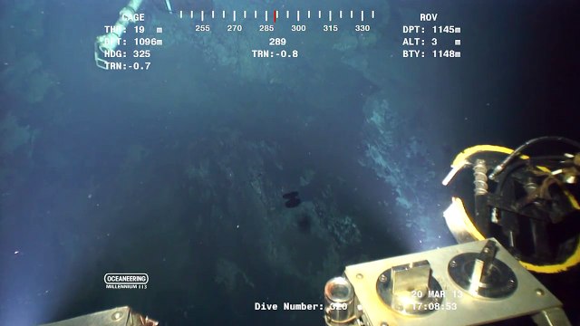 Những quái vật bí ẩn tưởng chừng chỉ có trên phim ảnh