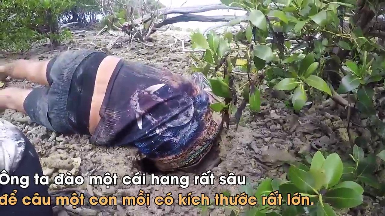 Kinh ngạc trước cảnh chuyên gia tay không bắt cua khổng lồ