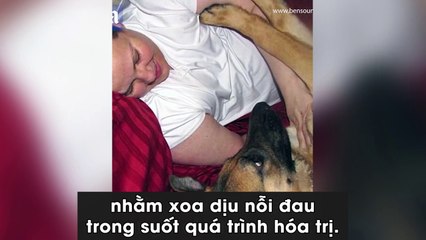 Cảm động trước cuộc dạo chơi cuối cùng của cô chó u não