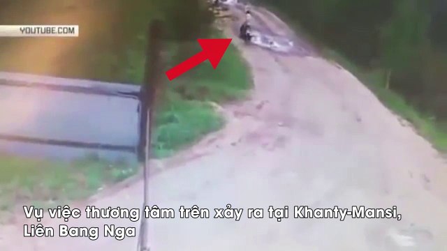 kinh hoàng bầy chó hoang cắn chết người đàn ông cho mình ăn suốt 2 năm