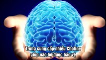 Lợi ích đáng kinh ngạc của việc ăn trứng thường xuyên