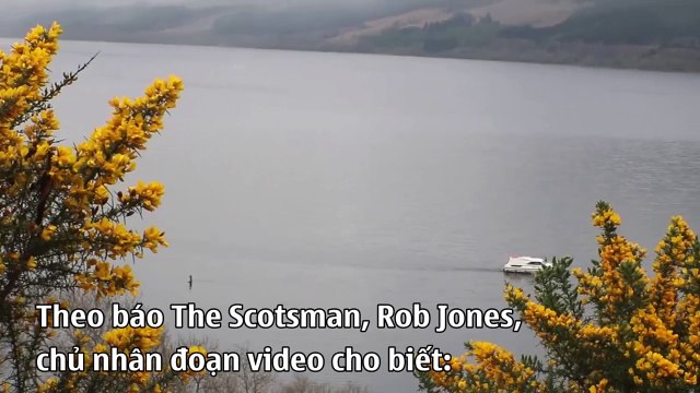 Không thể tin nổi với đoạn clip quái vật hồ Loch Ness thật sự tồn tại