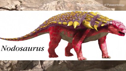 Mẫu hóa thạch hoàn hảo của một con khủng long 4 chân Nodosaurus