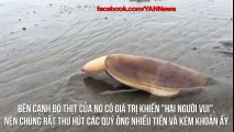 Thì ra đây mới là lý do người ta gọi tu hài là biểu tượng nam tính của đàn ông.