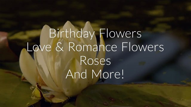 Call @ 773-649-5132 For Same Day Flower Delivery Chicago