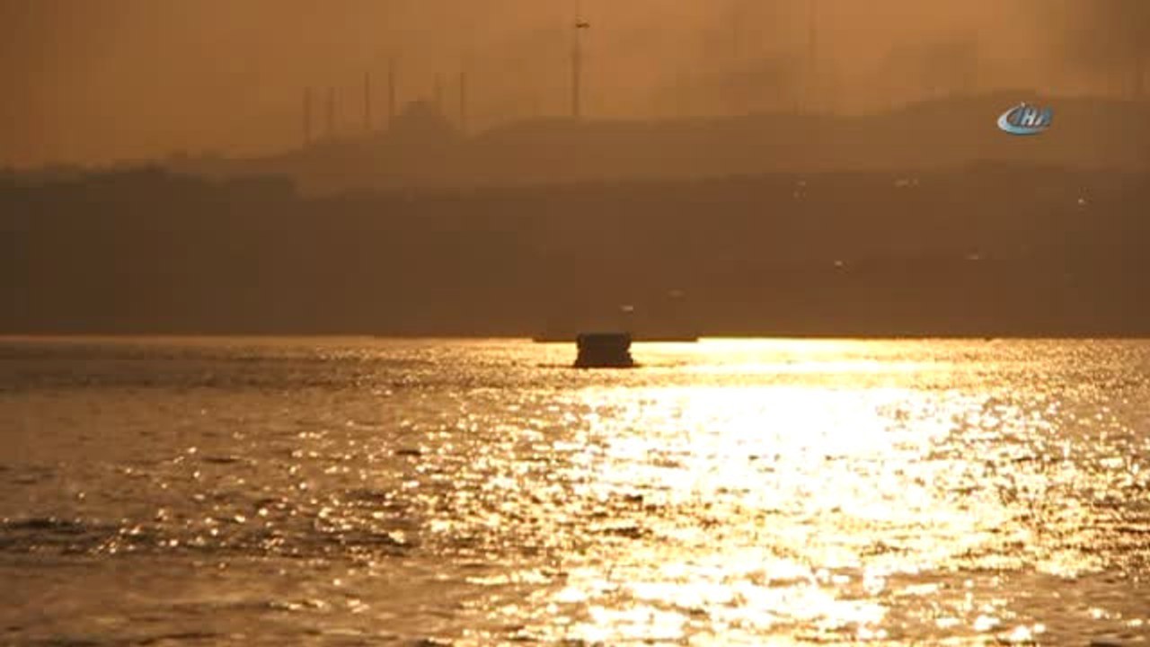 Boğaz'ın Simgesi Martıların Balık Ziyafeti Böyle Görüntülendi