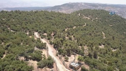 Suriye'den Türkiye'ye Getirilen Hayvanlar Ürdün'e Nakledildi