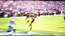 Troy Polamalu Highlight Reel