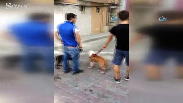 Sokak ortasında gencin içler acısı hali