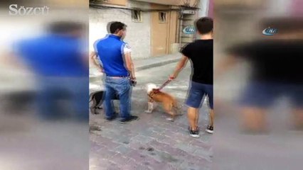 Video herunterladen: Sokak ortasında gencin içler acısı hali