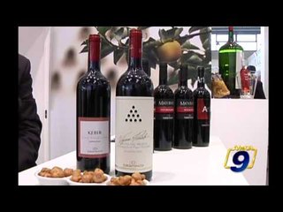 Vinitaly 2011 - Cantine Torrevento