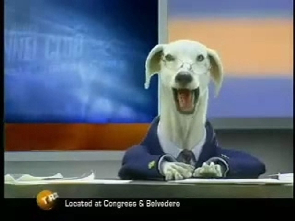 Animatronic Greyhound News Reporters (Episode 3)