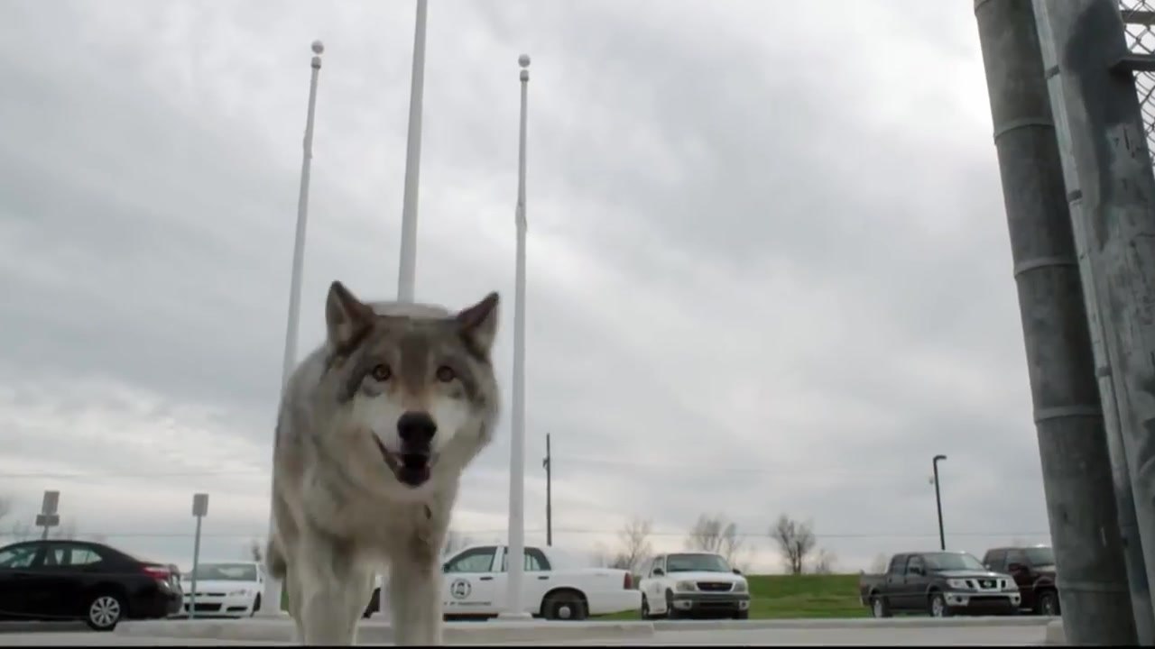 Zoo Season 3 Episode 9 Full ~~ [[OFFICIAL CBS]] Watch Streaming