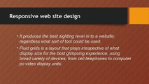 Responsive web site design vs Adaptive website design