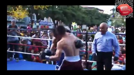 Gervonta Davis Next Opponent Francisco Fonseca Knock Outs & Highlights-lUOnHH2x-CI