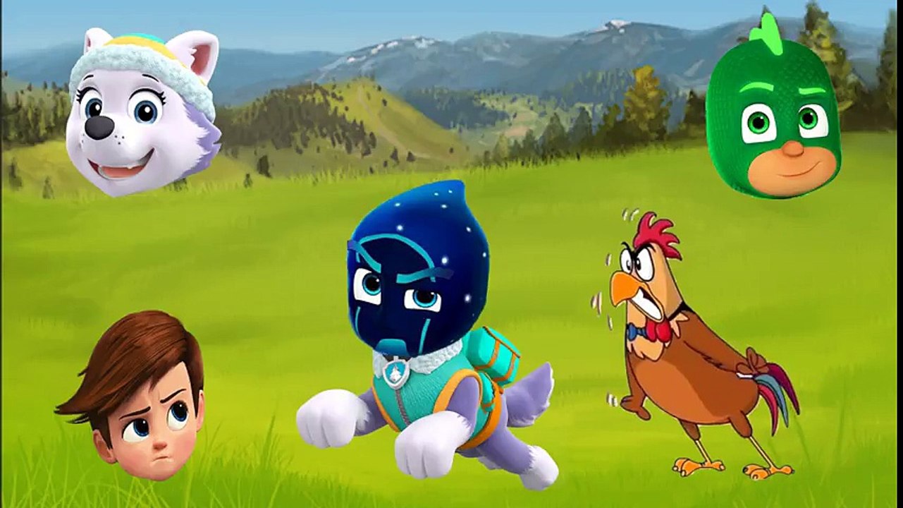Wrong Head PJ Mask Gekko , Night Ninja, Everest Paw Patrol, Tim Boss Baby Finger  Family Song 2017