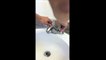 Impossible de se laver les mains avec ce robinet !! IMPOSSIBLE LOL