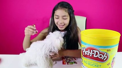 Сердитый птицы ведро доч гигант имен играть сюрприз Игрушки с mbbb shopkins b2cutecupcak