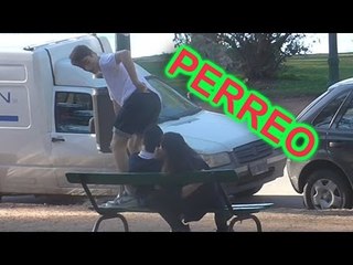 BAILANDO TWERKING / TOMAS ORANGES