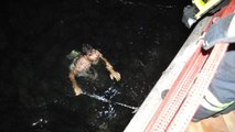 Kocaeli'de Denize Düşen Kediyi Gören Genç, Hiç Düşünmeden Suya Atladı