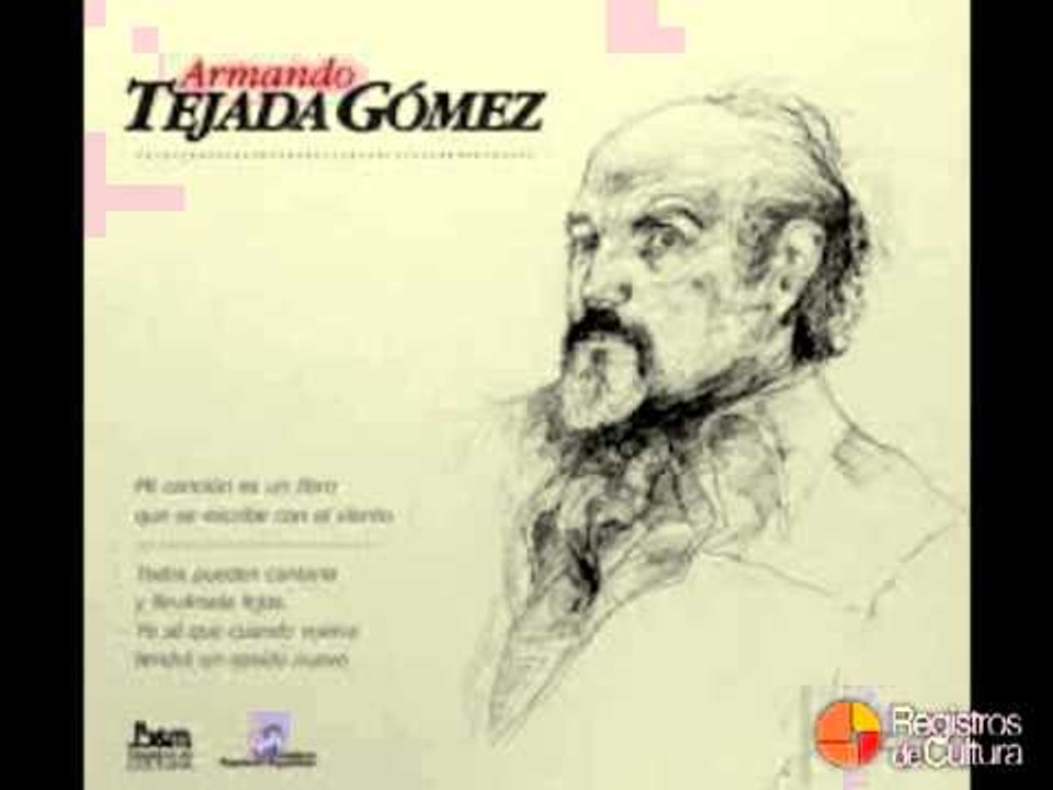 Chany Suarez - Zamba del Laurel