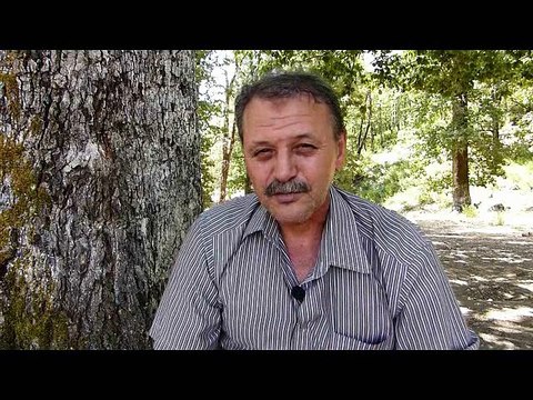 Reportage vidéo à Sidi Lhadi de BouaEwen (Idjeur): de l'eau, de la fraîcheur, des arbres centenaires et du silence sauf