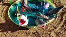 Enfants vidéo requin jouets Apprendre apprentissage des noms de Mer animaux enfants parc faire glisser dans mini-