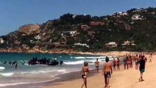 Imigranci docierają na plażę pełną ludzi - Zahara de los Atunes (Cádiz)