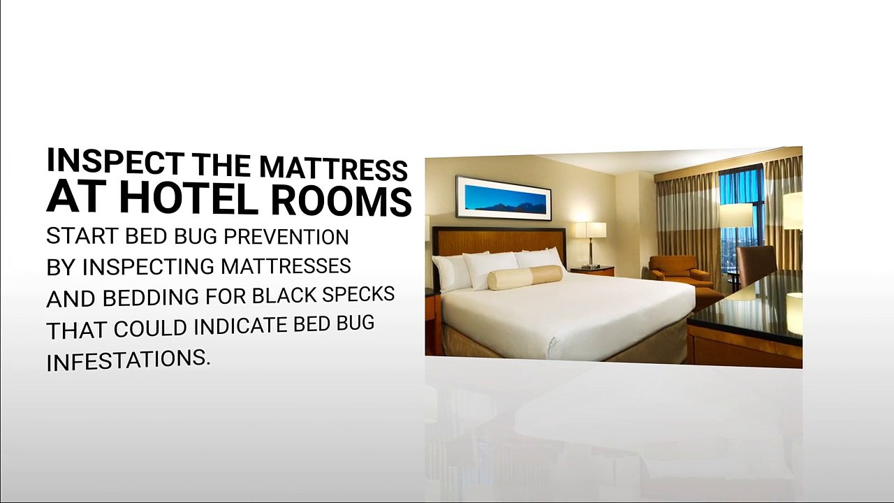 Family Pest Control - Pest Control in San Antonio, TX