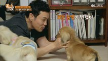 닥스훈트 8남매가 달라졌어요! 신승환이 지니를 구별하는 법!