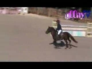 Le Mans Oct 2007 GPb Silverlea Simply Red